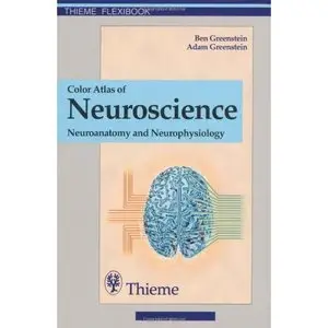 Color Atlas of Neuroscience. Neuroanatomy and Neurophysiology (repost)
