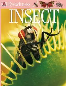 Insect (DK Eyewitness Books)