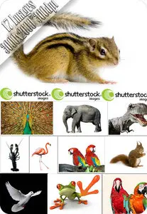 Animals