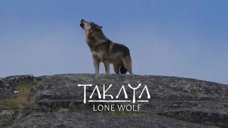 CBC The Nature of Things - Takaya: Lone Wolf (2019)