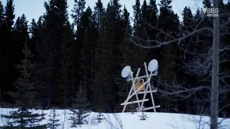 SBS - Avalanche: Making A Deadly Snowstorm (2018)