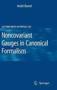 Noncovariant Gauges in Canonical Formalism (Repost)