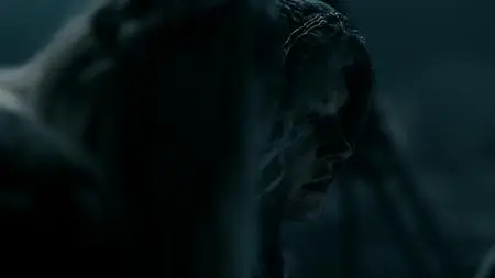Vikings S05E20