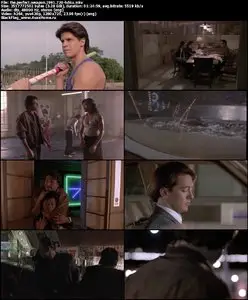 The Perfect Weapon (1991)