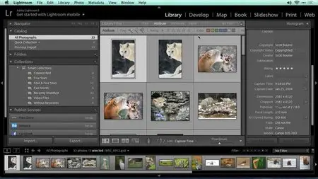 Lynda - Migrating from Aperture to Lightroom