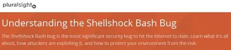 Understanding the Shellshock Bash Bug