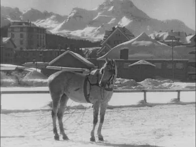 100 Years of Olympic Films: 1912–2012. Episode 05 (2017)