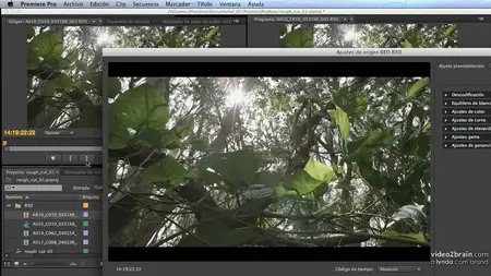 Novedades Premiere Pro CC (2013)