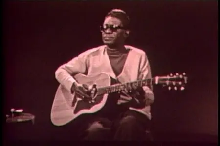 Masters Of The Country Blues - Mance Lipscomb & Lightnin' Hopkins (2000)