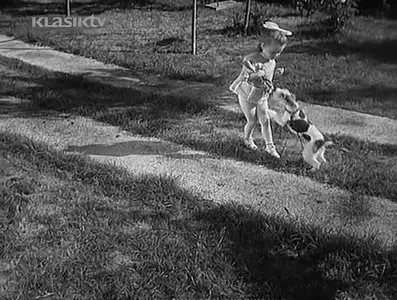 Cipelice na asfaltu (1956)