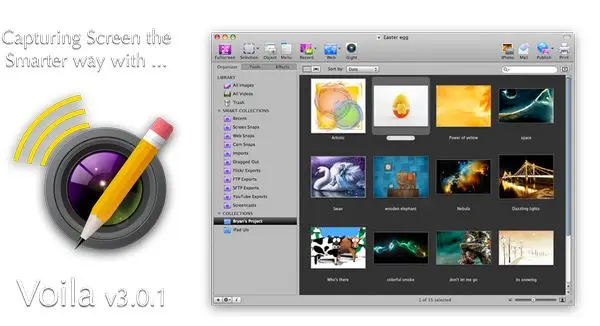 Voila 3.0.1