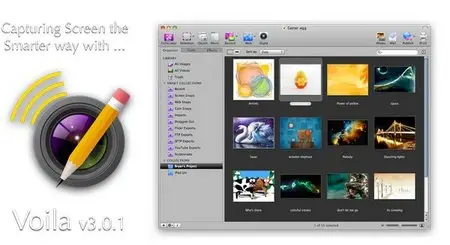 Voila 3.0.1
