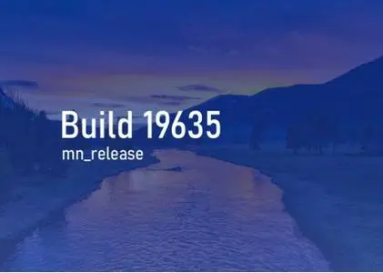 Windows 10 Insider Preview (20H2) Build 19635.1