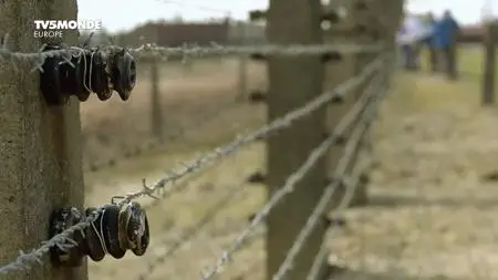 TV5Monde - Auschwitz Muzeum (2017)