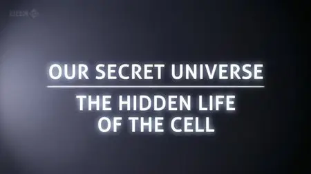 BBC - Our Secret Universe: The Hidden Life of the Cell (2012)
