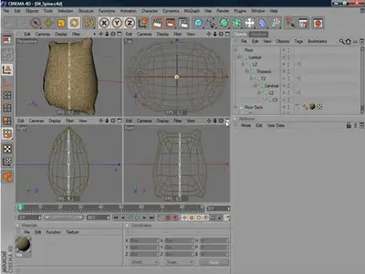 Cineversity Principles Of Animation