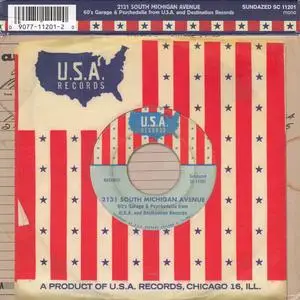 VA - 2131 South Michigan Avenue: 60's Garage & Psychedelia From U.S.A. And Destination Records (2009)