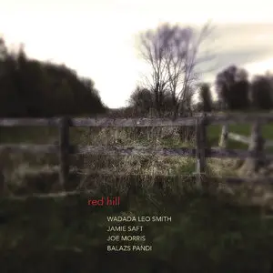 Wadada Leo Smith, Jamie Saft, Joe Morris, Balázs Pándi - Red Hill (2014)