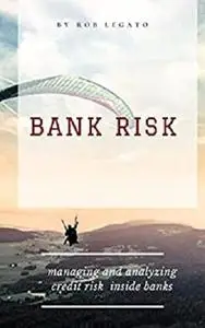 Bank Risk : Managing and analyzing credit risk inside banks