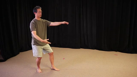 Bruce Frantzis - Old Yang Style Tai Chi  (Month 6-10)