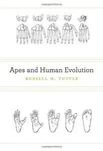 Apes and Human Evolution