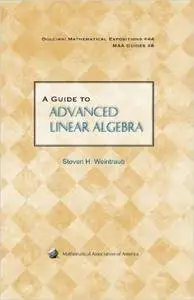 A Guide to Advanced Linear Algebra (Repost)