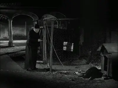 Don Camillo e l'onorevole Peppone (1955)