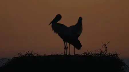 PBS - Nature: Portugal Wild Land on the Edge (2022)