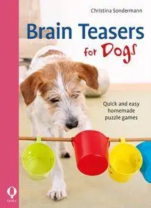 Brain Teasers for Dogs: Quick and easy homemade puzzle games