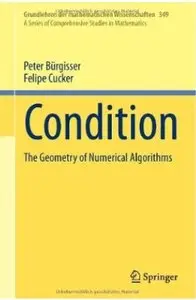 Condition: The Geometry of Numerical Algorithms [Repost]