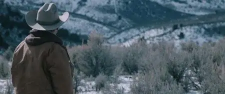 Wind River (2017)