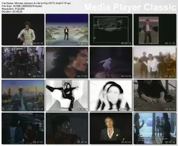 The Michael Jackson Story 1958-2009 [DVDRip]