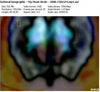 National Geographic - My Music Brain [2008]