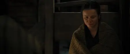 The Book Thief (2013)