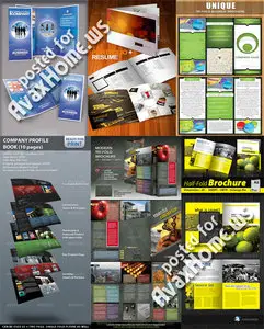 GraphicRiver Brochure Templates Pack 5