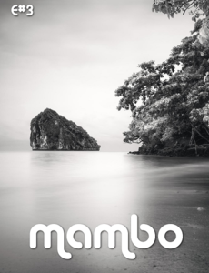 Mambo E - N° 3 (2014)