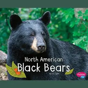 «North American Black Bears» by G.G. Lake