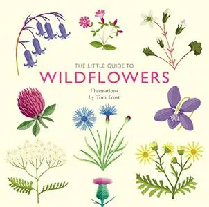 The Little Guide to Wildflowers (Little Guides)