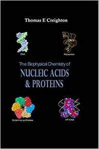 The Biophysical Chemistry of Nucleic Acids and Proteins (Repost)