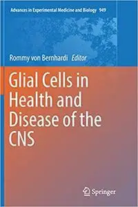 Glial Cells in Health and Disease of the CNS