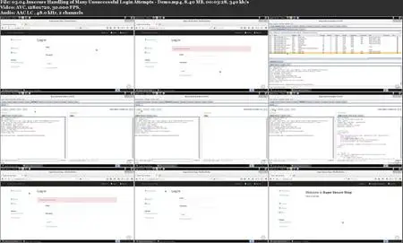 Web Application Penetration Testing: Insecure Error Handling