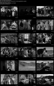 Alive and Kicking (1958)