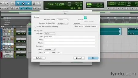Audio Mastering Techniques by Bobby Owsinski