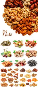Stock Photo - Nuts