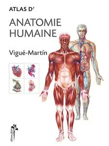 Vigué-Martin, "Atlas d'anatomie humaine"