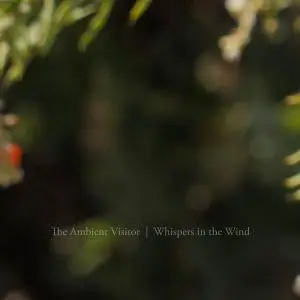 The Ambient Visitor - Whispers in the Wind (2017)