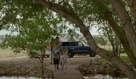 The Stray (2017)