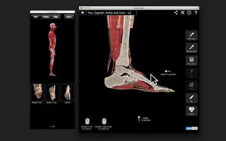 Ankle and Foot Pro III v3.0 Mac OS X