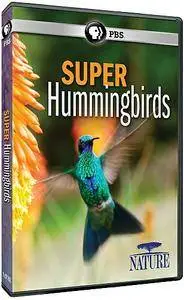 PBS - Nature: Super Hummingbirds (2016)
