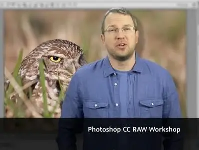 Photoshop CC Raw Workshop (2013) [repost]